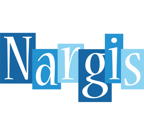 Nargis winter logo