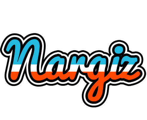 Nargiz america logo