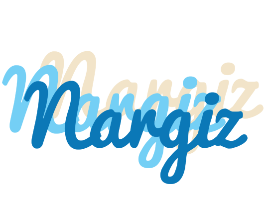 Nargiz breeze logo