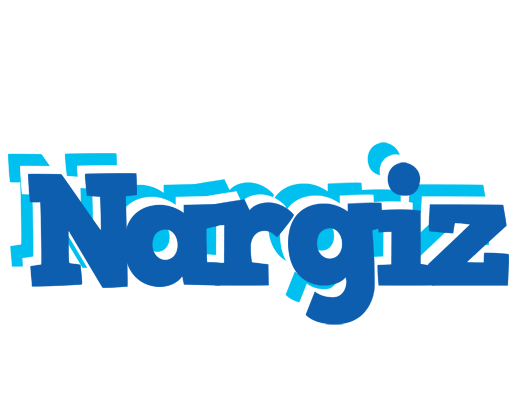 Nargiz business logo