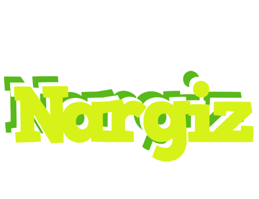 Nargiz citrus logo