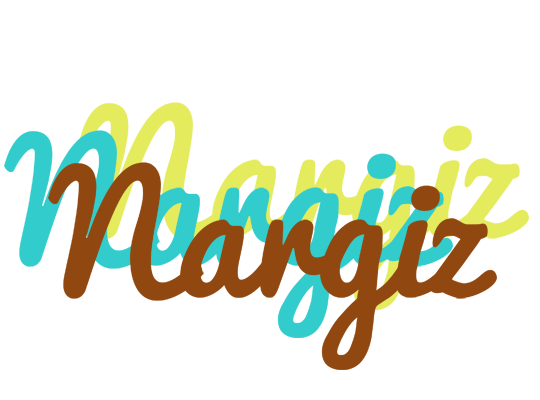 Nargiz cupcake logo