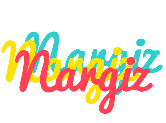 Nargiz disco logo