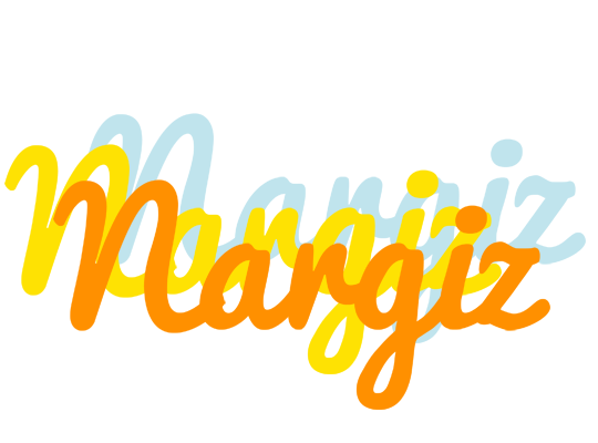 Nargiz energy logo
