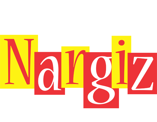 Nargiz errors logo