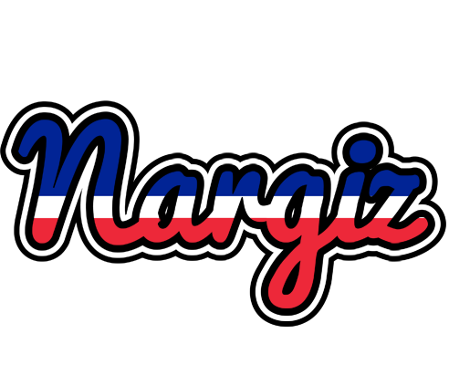Nargiz france logo