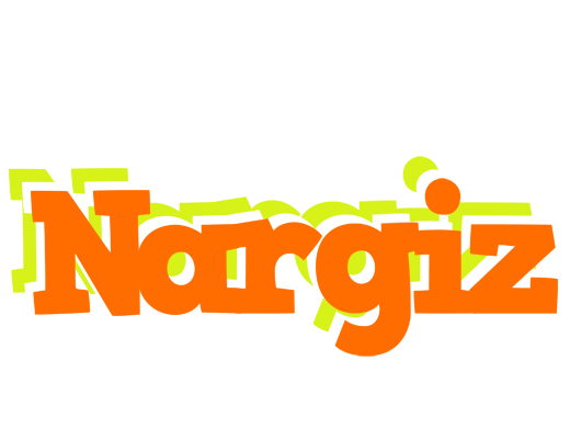 Nargiz healthy logo