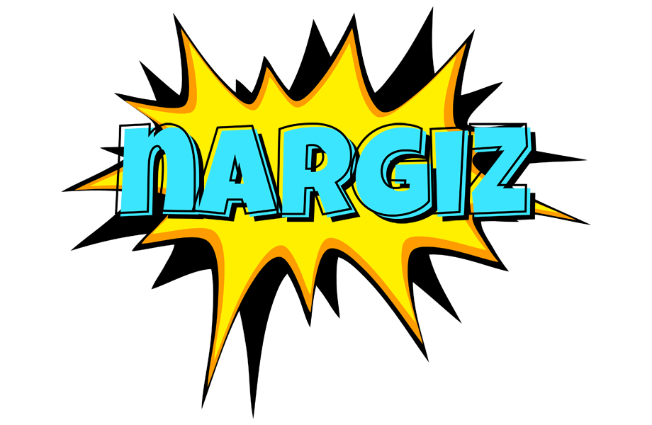 Nargiz indycar logo