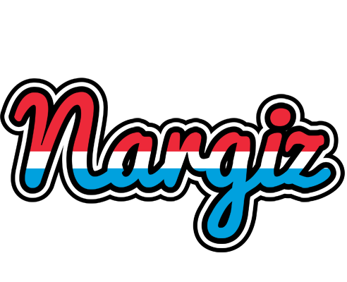 Nargiz norway logo