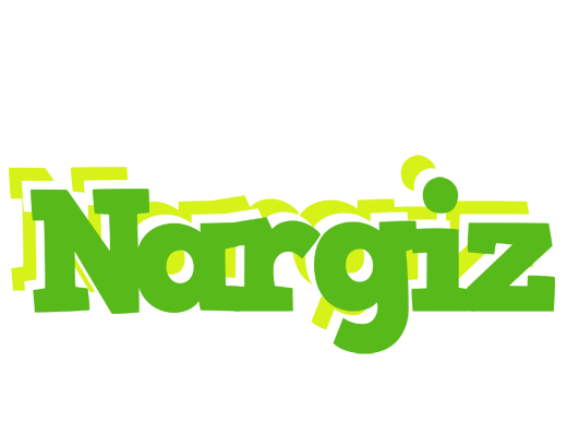 Nargiz picnic logo