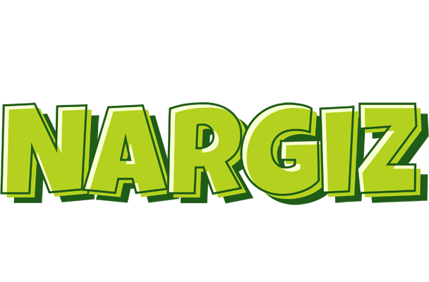 Nargiz summer logo