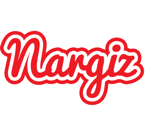 Nargiz sunshine logo