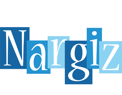 Nargiz winter logo