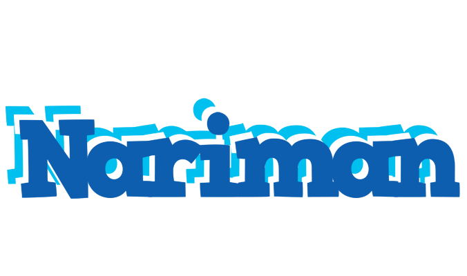 Nariman business logo