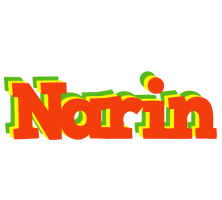 Narin bbq logo