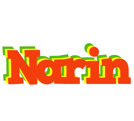 Narin bbq logo