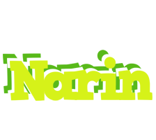 Narin citrus logo