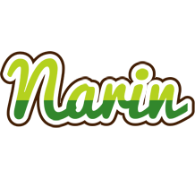 Narin golfing logo