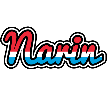 Narin norway logo