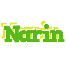 Narin picnic logo