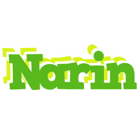 Narin picnic logo