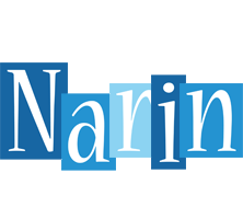 Narin winter logo