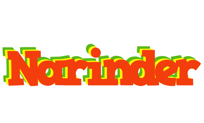 Narinder bbq logo
