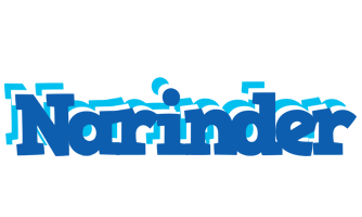 Narinder business logo