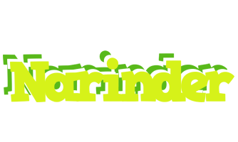Narinder citrus logo