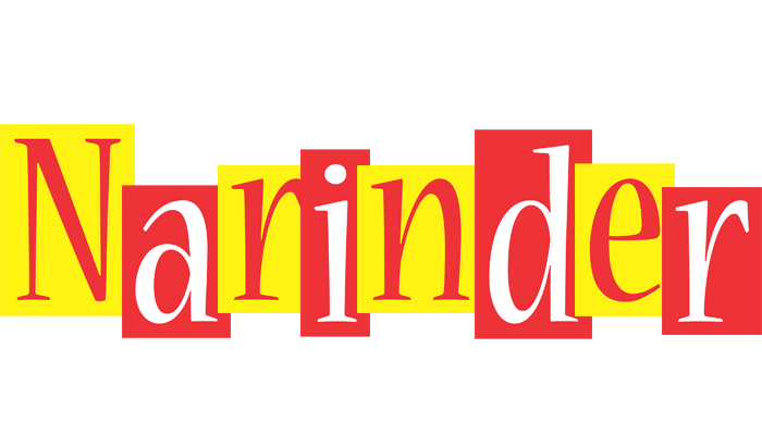 Narinder errors logo
