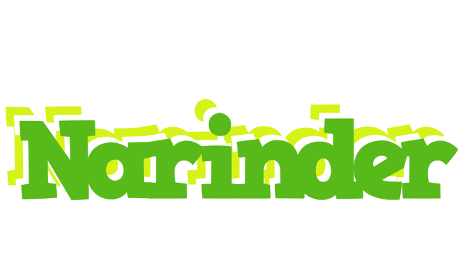 Narinder picnic logo