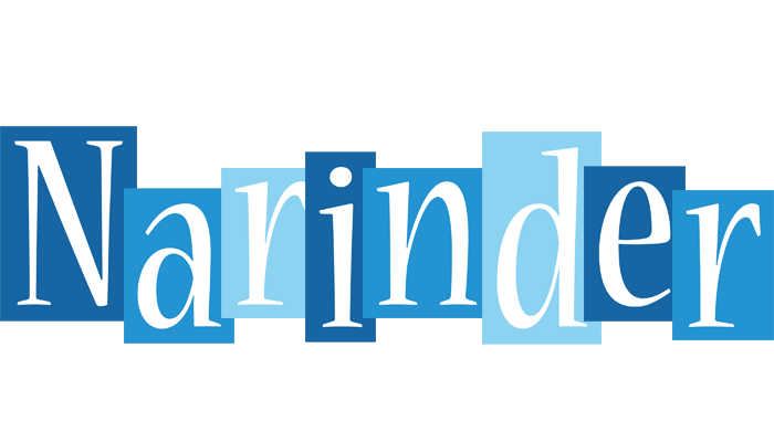 Narinder winter logo