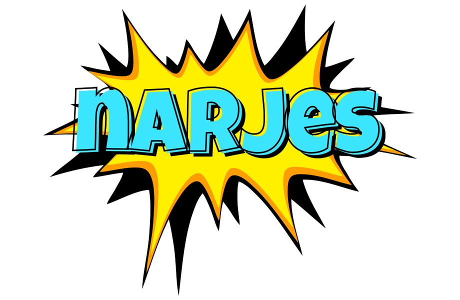 Narjes indycar logo