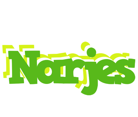 Narjes picnic logo