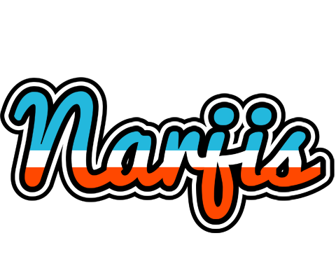 Narjis america logo