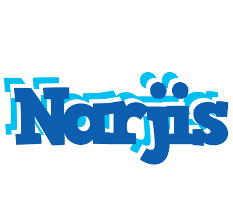 Narjis business logo
