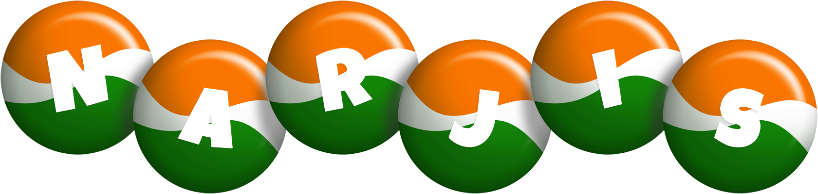 Narjis india logo