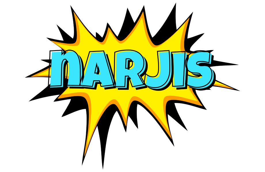 Narjis indycar logo