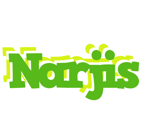 Narjis picnic logo