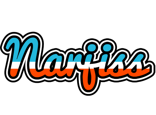 Narjiss america logo