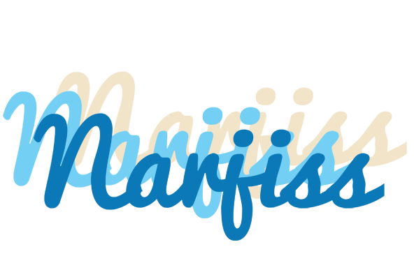 Narjiss breeze logo