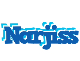 Narjiss business logo