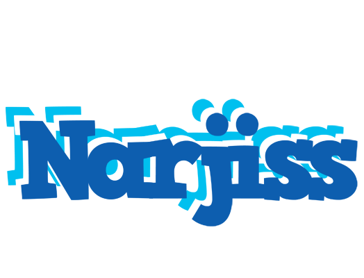 Narjiss business logo