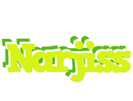 Narjiss citrus logo