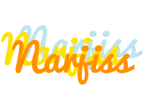 Narjiss energy logo