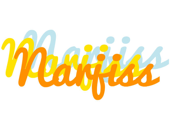 Narjiss energy logo