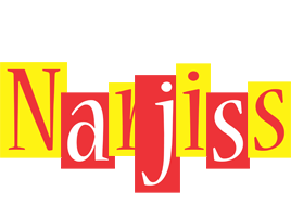 Narjiss errors logo