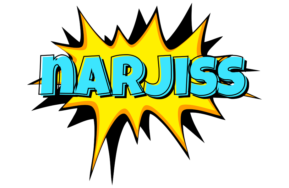 Narjiss indycar logo