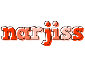 Narjiss paint logo