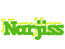 Narjiss picnic logo